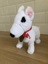 English Bull Terrier Dog