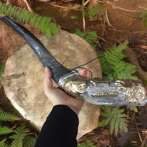 Shofar kudu horn oil - shofar, 16"