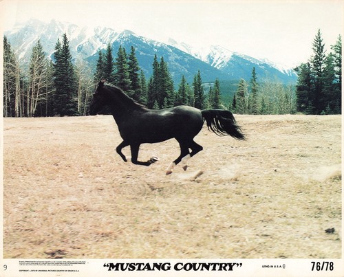 Mustang country 1976 - mustang,
