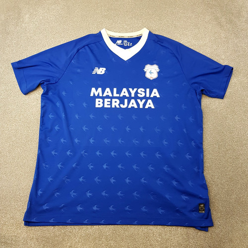 Cardiff city football - cardiff,