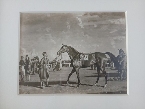 Framed equestrian horse racing - equestrian,