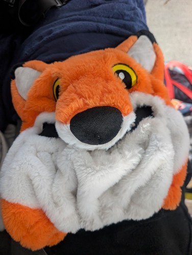 Fluffy fox motorcycle helmet - motorcycle,