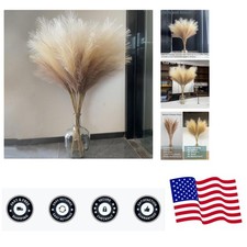 38" 10 Stems Faux Pampas Grass