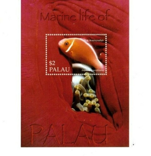 Palau 2004 marine life - -,