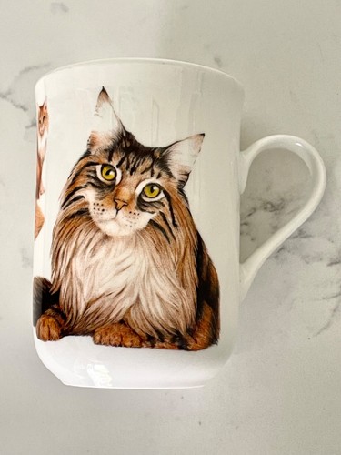 Maine coon cat mug cashmere - coon,