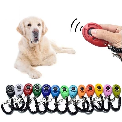 Dog training clicker - training,