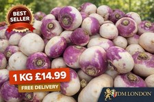Fresh Turnip Vegetable 1KG