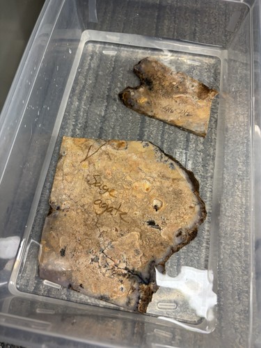Sage agate heat treated tested - heat,