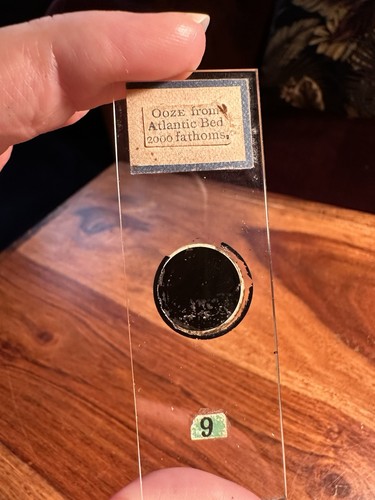 Antique microscope slide - antique,
