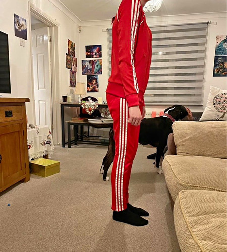 Adidas women red white - adidas, women's