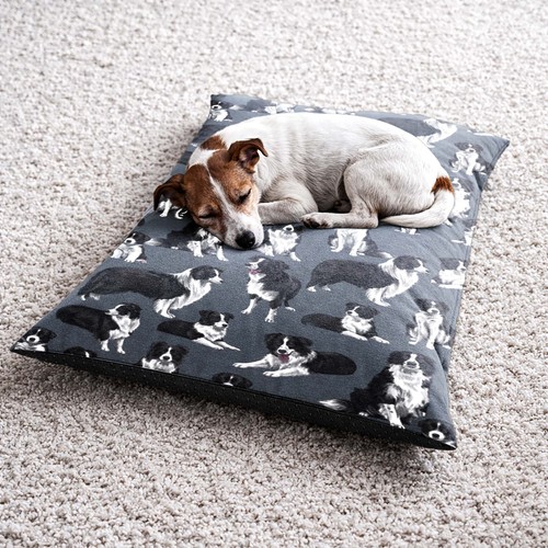 Custom colour border collie - border,