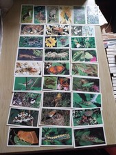Grandee Cigar Cards. Britain's Wayside Wildlife Full Set 30 Cards