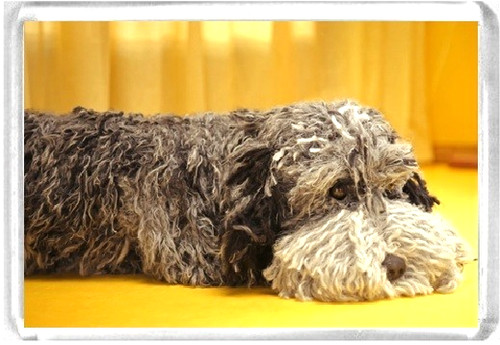 Dog fridge magnet - magnet, laying