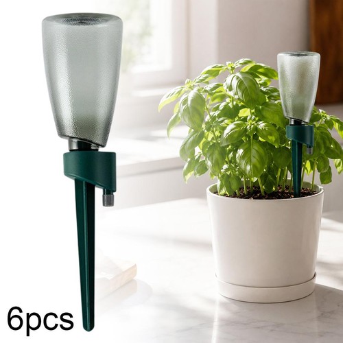 Plant automatic watering - plant,