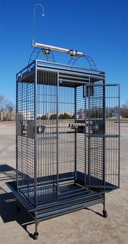 Large bird parrot play - large,