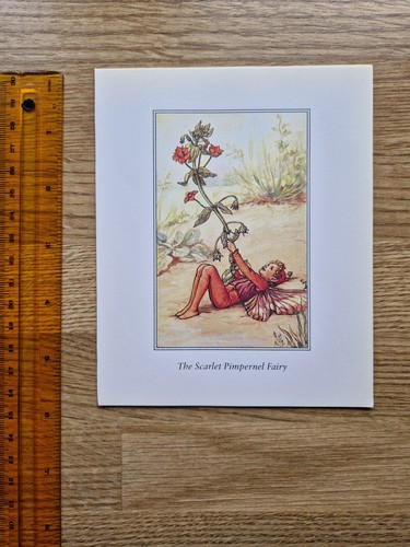 Cicely mary barker scarlet - mary,