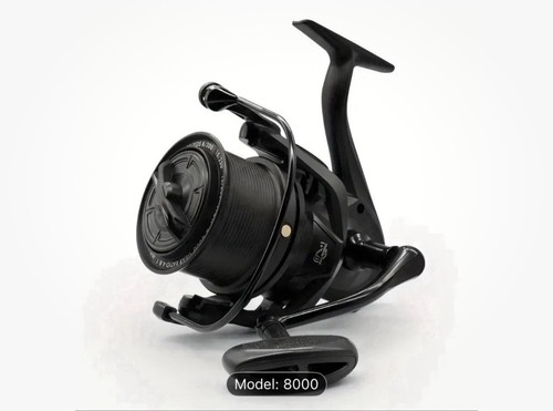 Ngk big pit carp - mk,