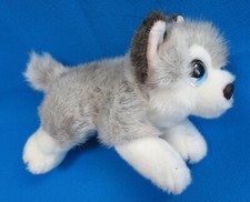 SIBERIAN HUSKY ALASKAN
