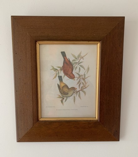 Gould hc richter antique - gould,