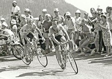 Bernard Hinault and Greg Lemond Race Action BW POSTER