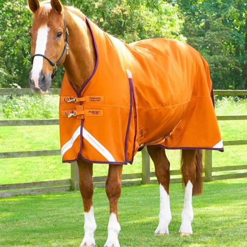 Premier equine buster hardy - premier,
