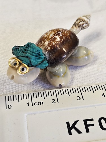 Vintage sea shells turtle - sea,