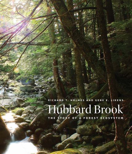 Hubbard brook the - story, a
