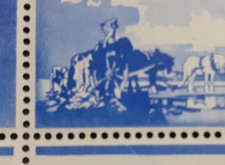 Kgvi channel island - 2,
