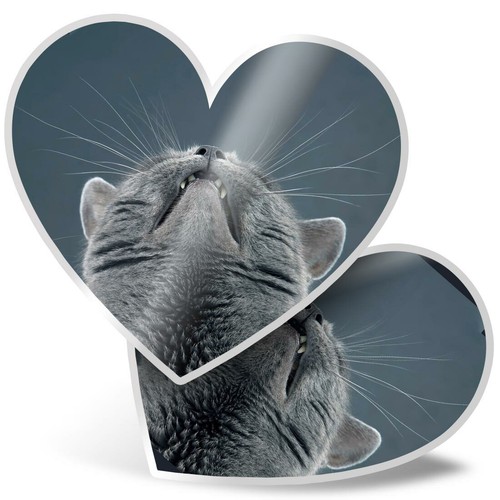 Heart stickers cm - 15,