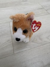 Otis The Welsh Corgi Dog