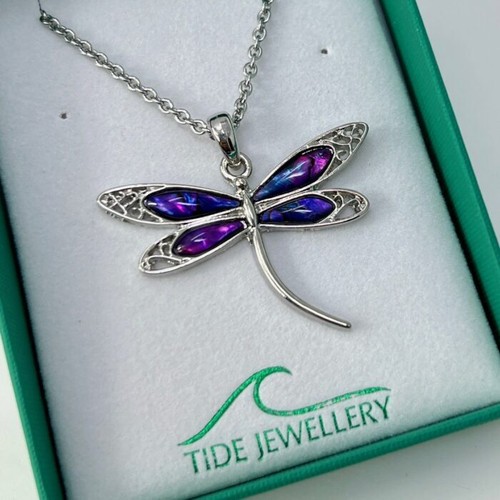Dragonfly paua shell - dragonfly,