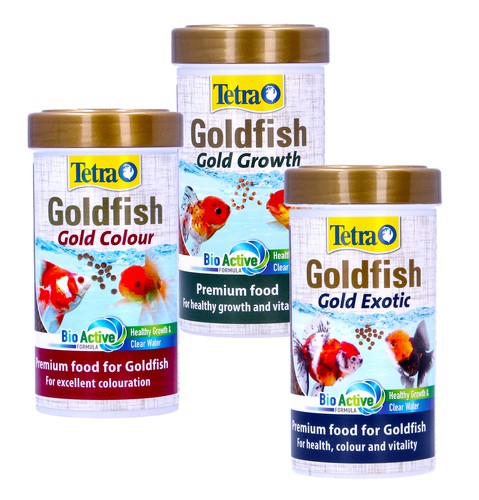 Tetra goldfish gold - goldfish, colour