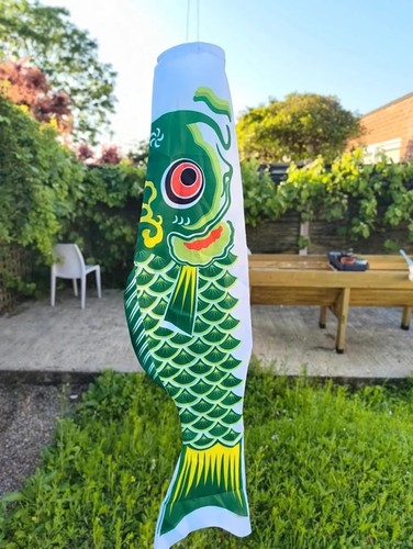 Giant japanese koi carp fish - koi,