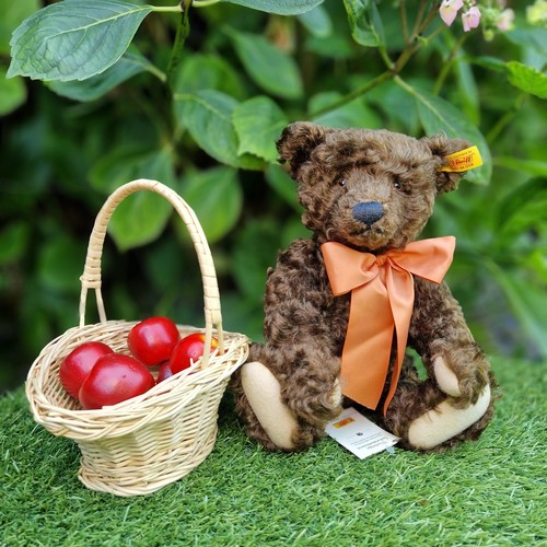 Once loved autumn bear - loved,