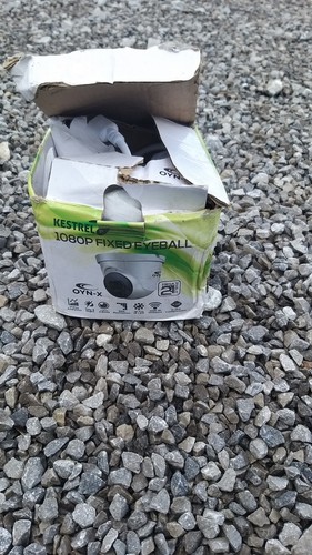 Oyn kedtrel 1080p fixed - kedtrel,