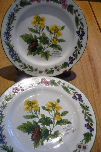 Royal worcester herbs - 6, x