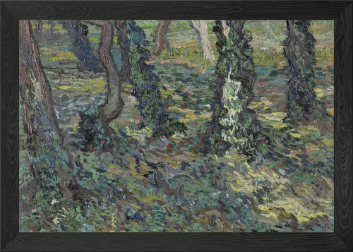 Tree trunks with ivy framed - tree,
