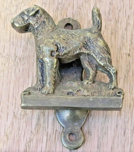 Airedale terrier brass door - airedale,