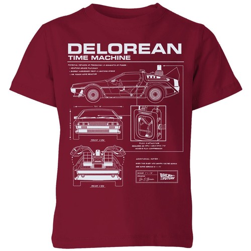 Back the future delorean - to,