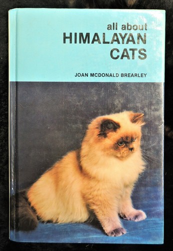 All about himalayan cats - cats, by
