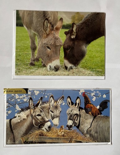 Donkey birthday blank inside