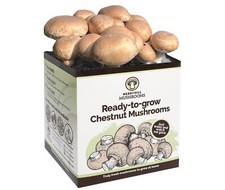 Merryhill Mushrooms - Grow