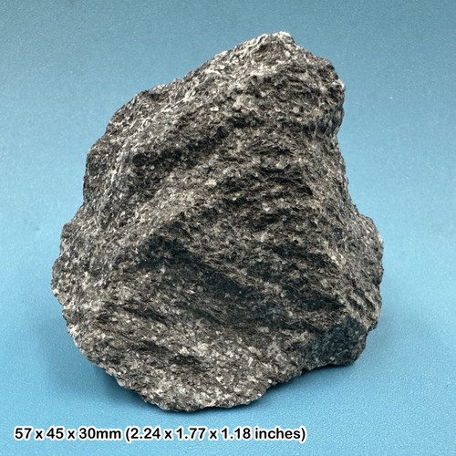 Hornblende gneiss metamorphic - hornblende, gneiss,