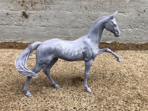Breathtime akhal teke prancing - breathtime,