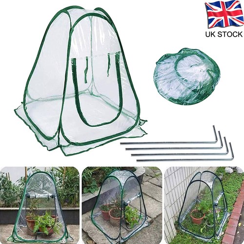 Pop greenhouse - up,