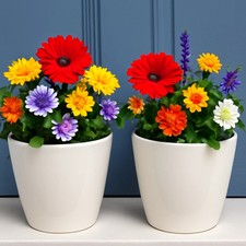 Modern White Plant Pot Set