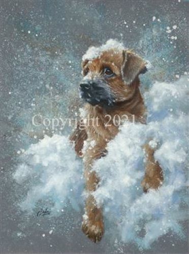 Border terrier christmas cards - terrier,