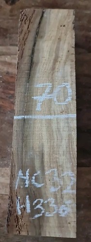 Spalted old hornbeam - old, blank