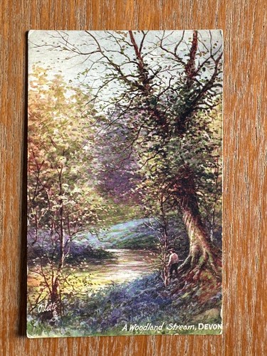 Antique devon postcard - antique,