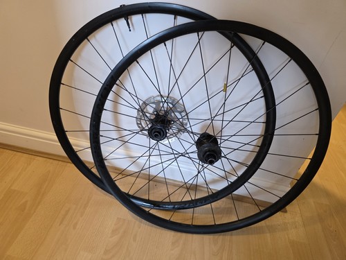 Bontrager paradigm - bontrager,